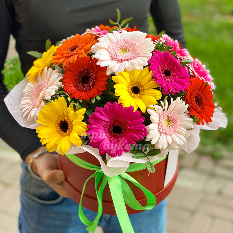 Герберы в шляпной коробке (в руках)