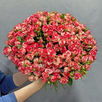 Букет из 25 гибридных чайных роз